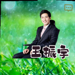 王振宇